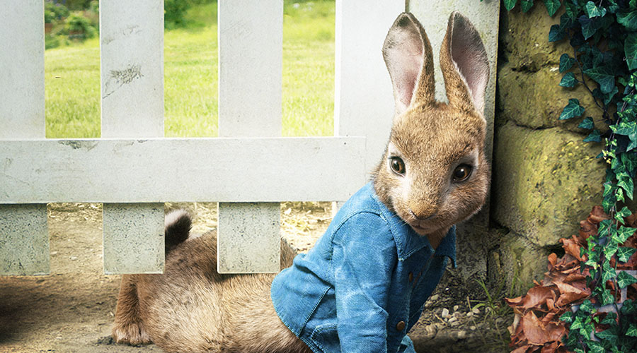 Watch the new International trailer for Peter Rabbit ahead of the March 22 release!