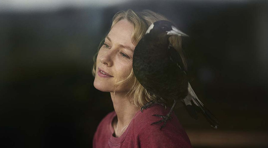 Watch the trailer for Penguin Bloom starring Naomi Watts!