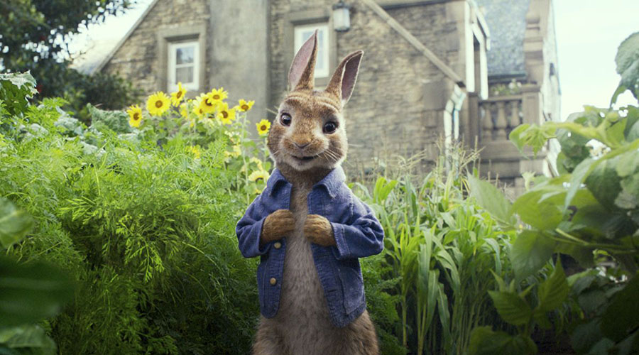 Watch the trailer for Peter Rabbit 2 - bounding into cinemas March 25!