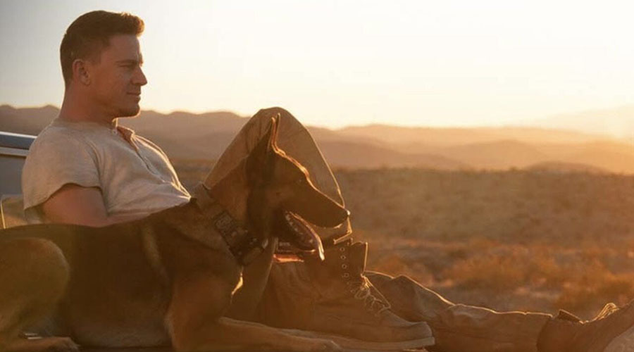 Watch the trailer for Dog - starring Channing Tatum!