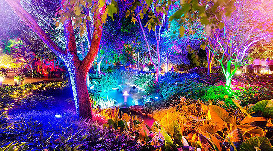 The Enchanted Garden is returning to Brisbane this December!