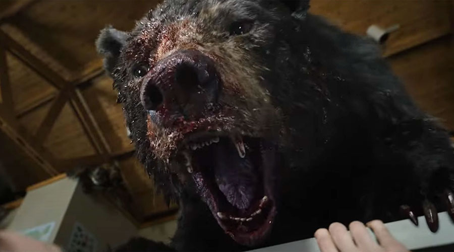 Watch the trailer for Cocaine Bear - in cinemas this February!