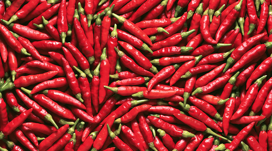 The inaugural Sunshine Coast Chilli Festival is coming to Aussie World this month!