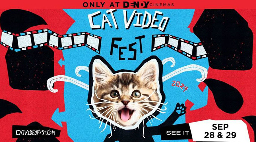 CatVideoFest 2024 is coming to Dendy Cinemas this month!