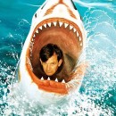 2025 Russell Hobbs British Film Festival - I Am Martin Parr Movie Review