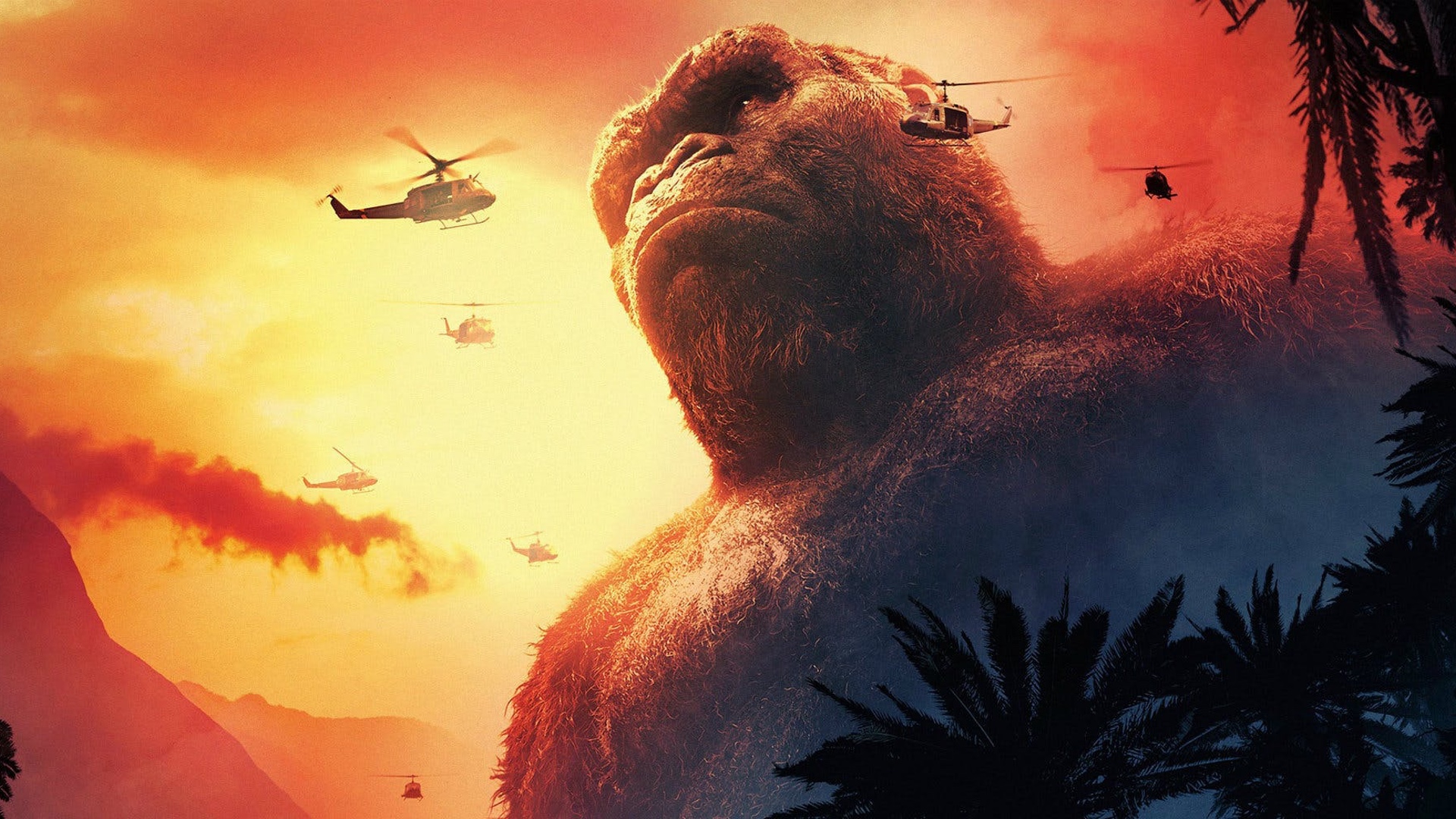Cameras roll on the Gold Coast for the next big-screen Adventure "Godsilla Vs. Kong"!
