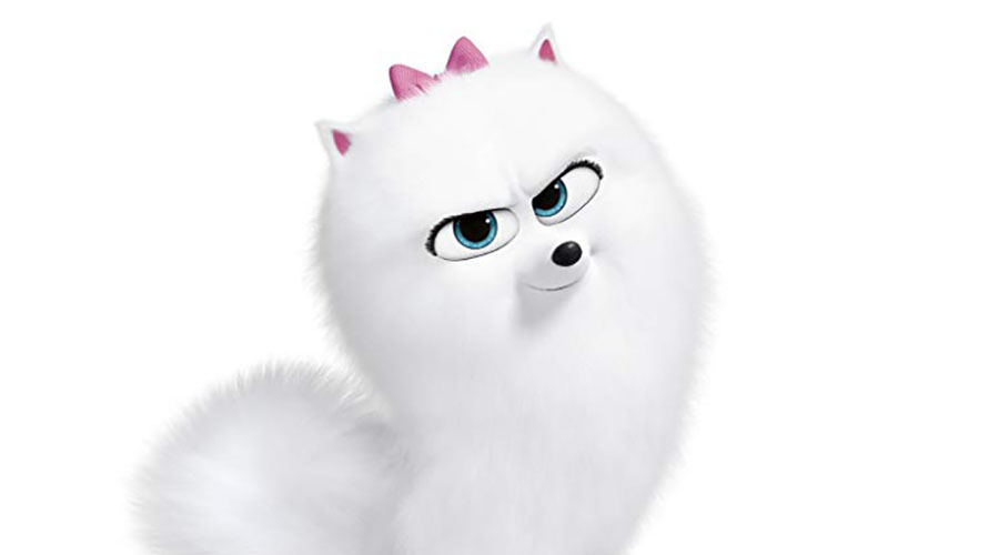 Check out this new sneak peak from The Secret Life of Pets 2 – Cat Lessons!