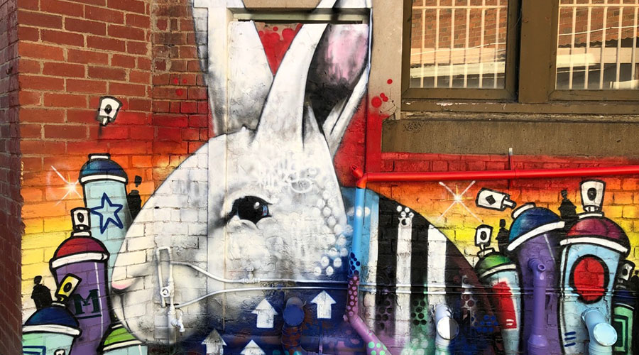 The Brisbane Street Art Festival 2019 is returning this May!