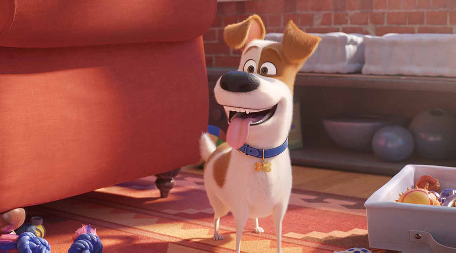 Watch the full length trailer for The Secret Life of Pets 2!
