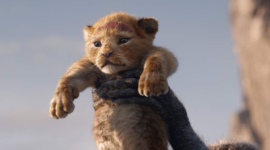 Watch the trailer for The Lion King - in cinemas July 17!