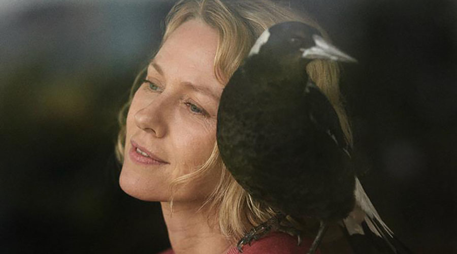 Here is the first look image from the upcoming Australian film Penguin Bloom