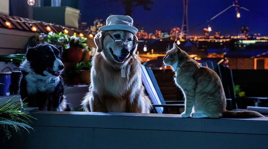 Watch the trailer for Cats & Dogs 3: Paws Unite