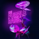 The Purple Rabit is coming to the Brisbane Festival this September!