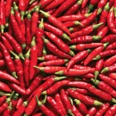 The inaugural Sunshine Coast Chilli Festival is coming to Aussie World this month!