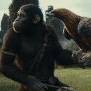 Check out the new trailer for action adventure spectacle - Kingdom of the Planet of the Apes