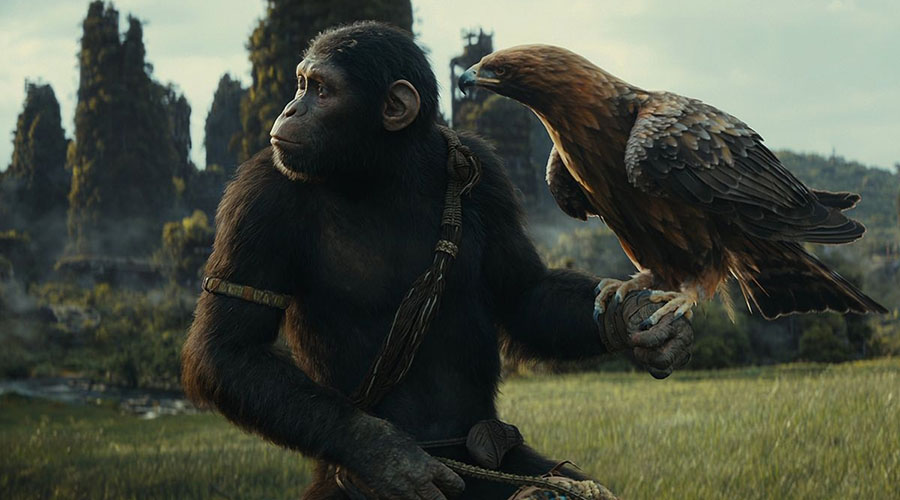 Check out the new trailer for action adventure spectacle - Kingdom of the Planet of the Apes