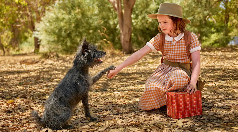 A Paw-some Outdoor Screening of great Australian film Runt is coming to Dendy Powerhouse Outdoor Cinema!