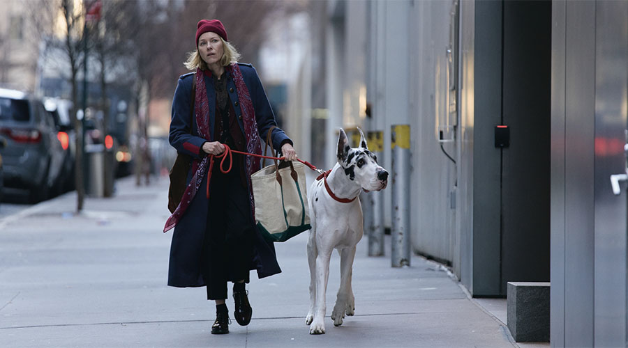 The Friend - Dog Friendly Preview Screening is coming to Dendy Powerhouse!