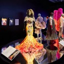 Make a Scene Exhibition is currently showing at the Queensland Museum!