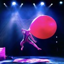 Wynnum Wonderland delivers pure joy wrapped up with a big bayside bow!