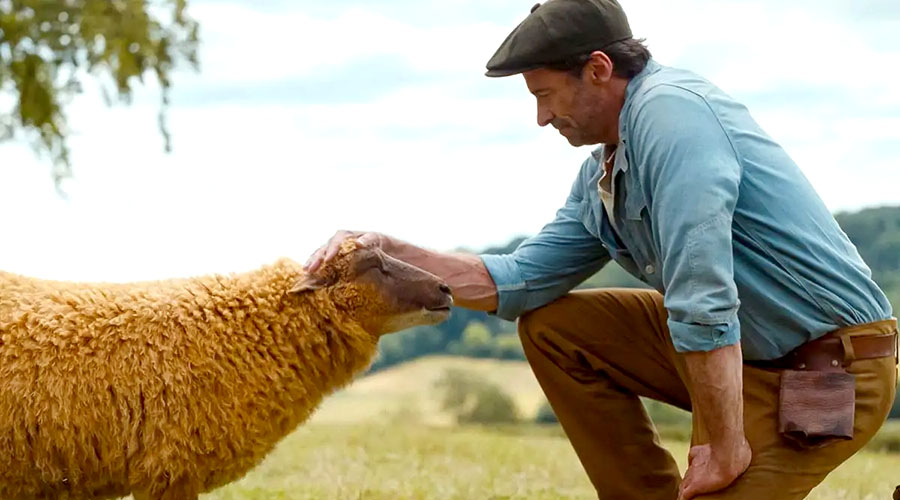 Watch Hugh Jackman in the trailer for The Sheep Detectives - coming to cinemas this May!